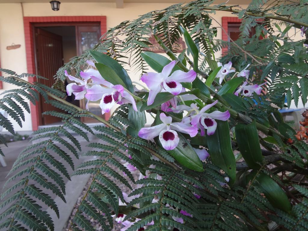Pousada Floratta Nossa Casa Gramado Kültér fotó